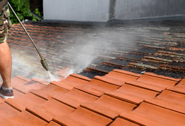 Best Residential Pressure Washing Services  in West Point, GA